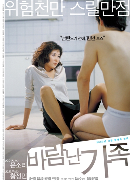 A Good Lawyer's Wife 2003