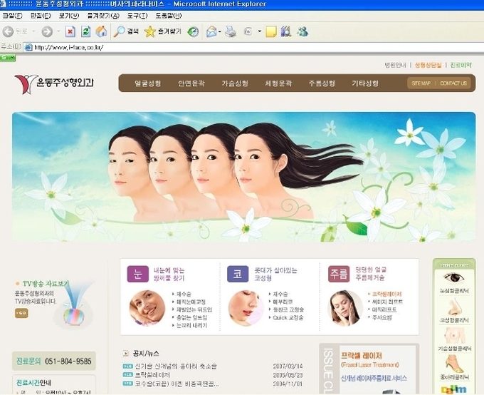 Korean Cosmetic Surgery Clinic Website